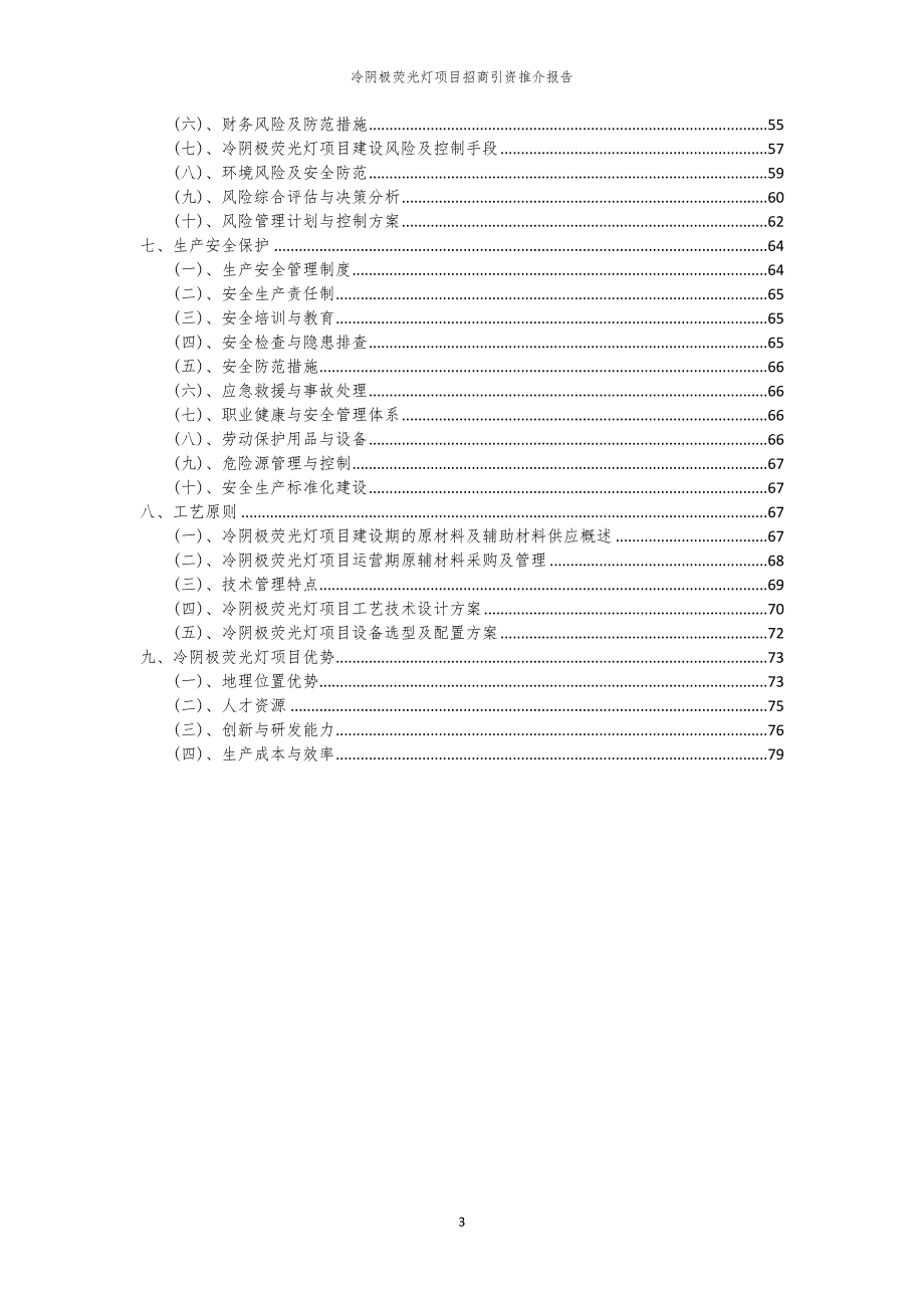 2023年冷阴极荧光灯项目招商引资推介报告_第3页