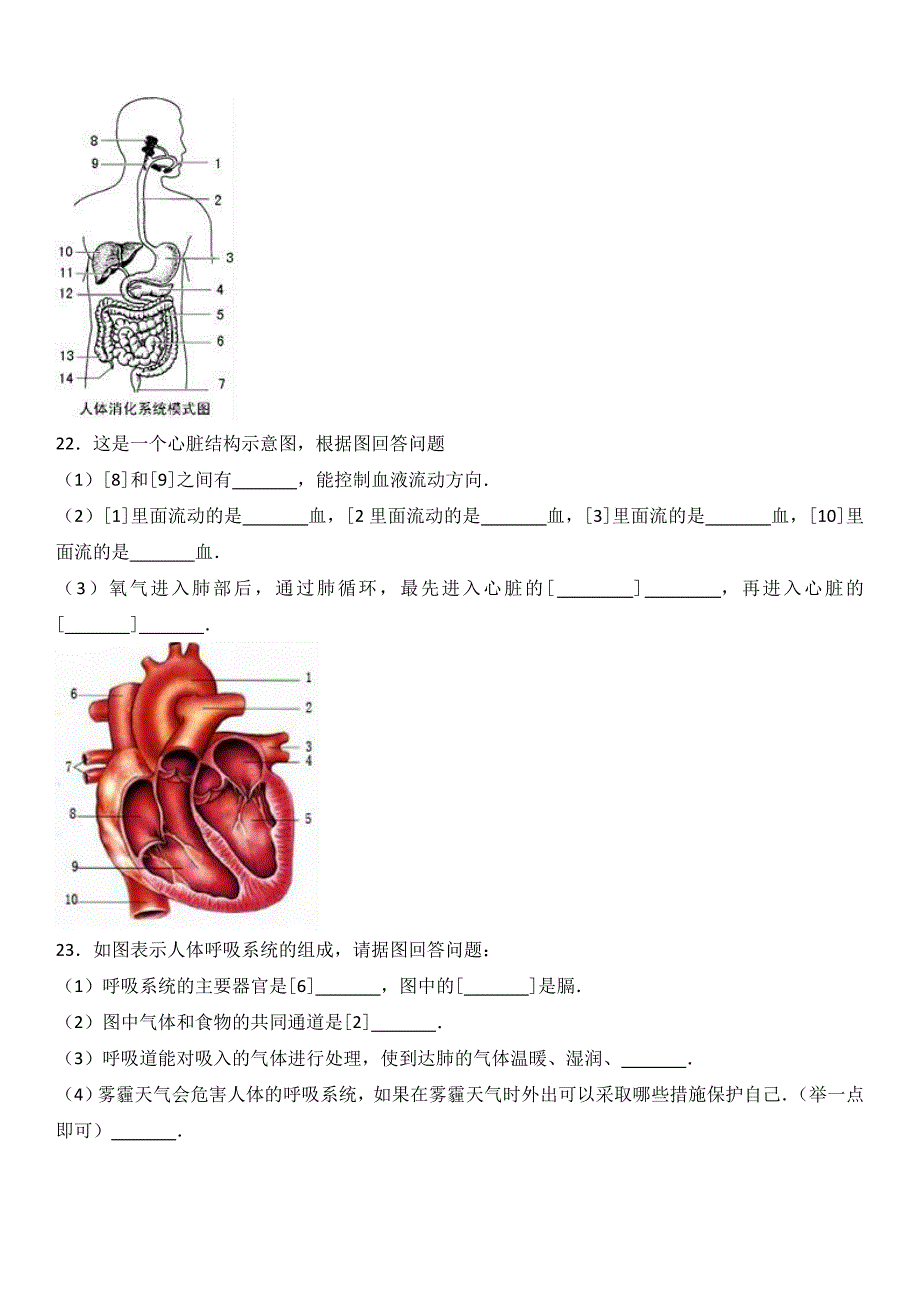 河北省唐山市迁安市2016-2017学年七年级（下）期末生物模拟试卷（解析版）_第4页