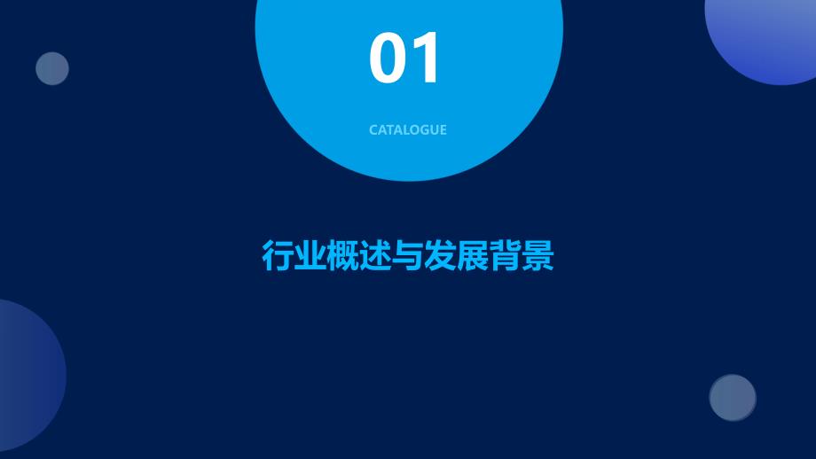 2023年稀有金属合金行业洞察报告及未来五至十年预测分析报告_第3页