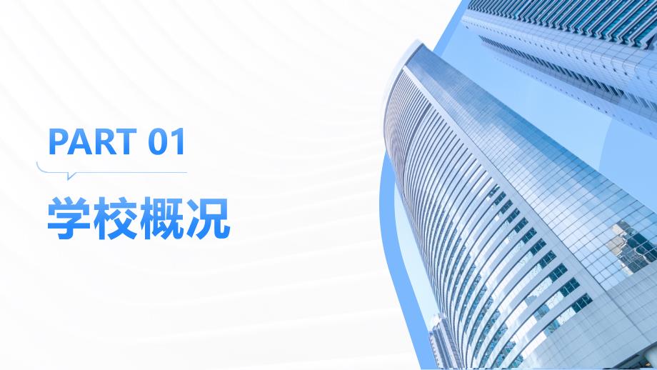 2023年迎接视导检查校长汇报材料_第3页