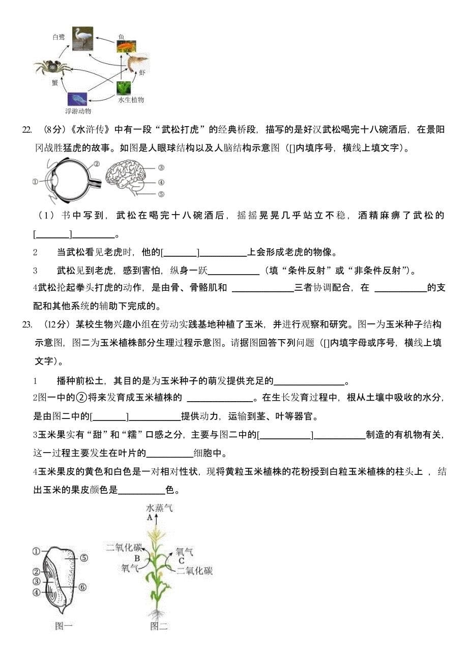 2024年四川省广安市中考生物试卷含答案_第5页