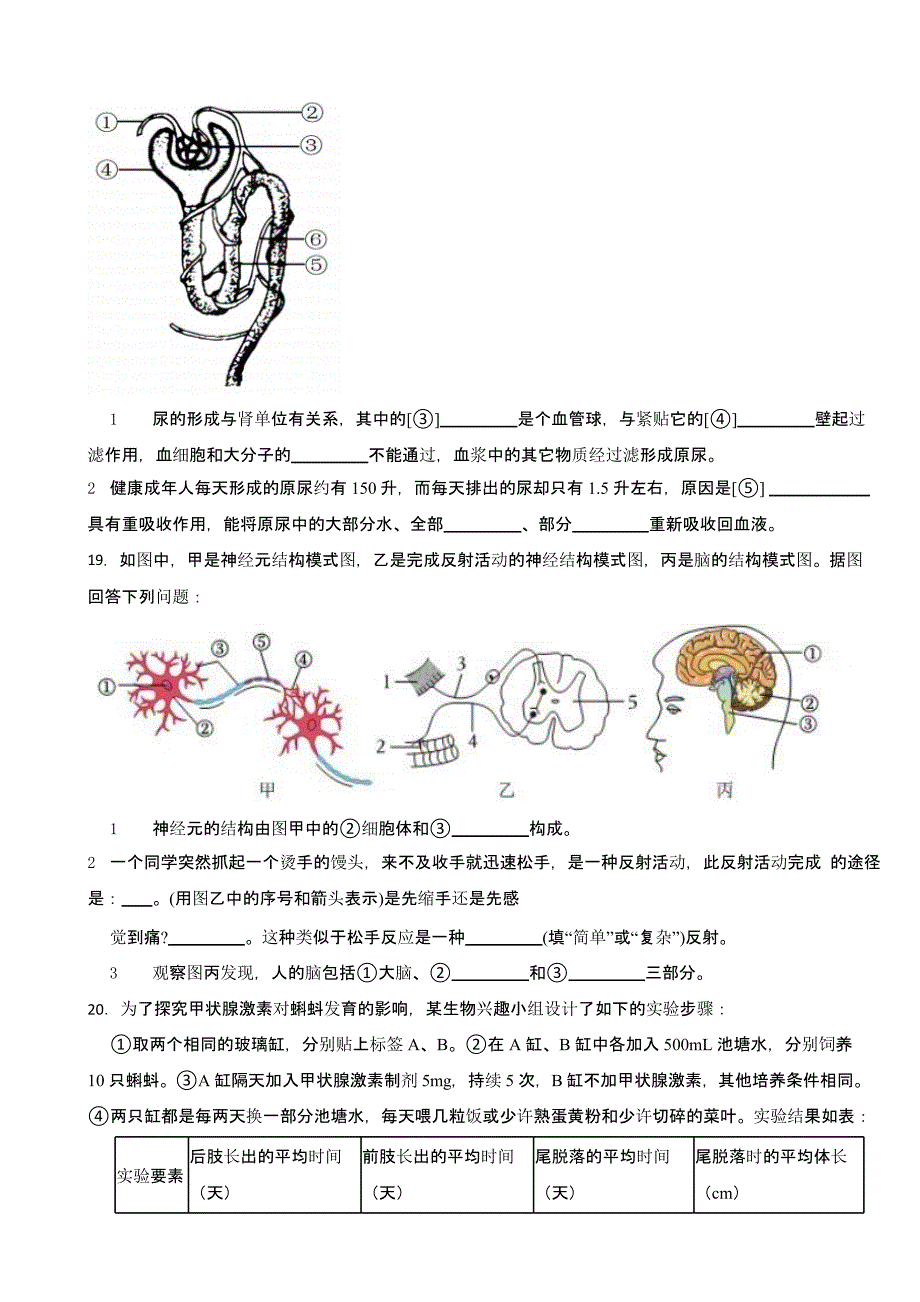 广西壮族自治区南宁市2024年七年级下学期生物期末试题含答案_第4页