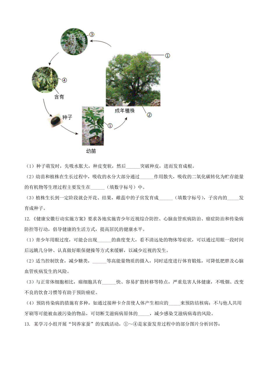 2024年安徽蚌埠中考生物试题及答案(1)_第4页