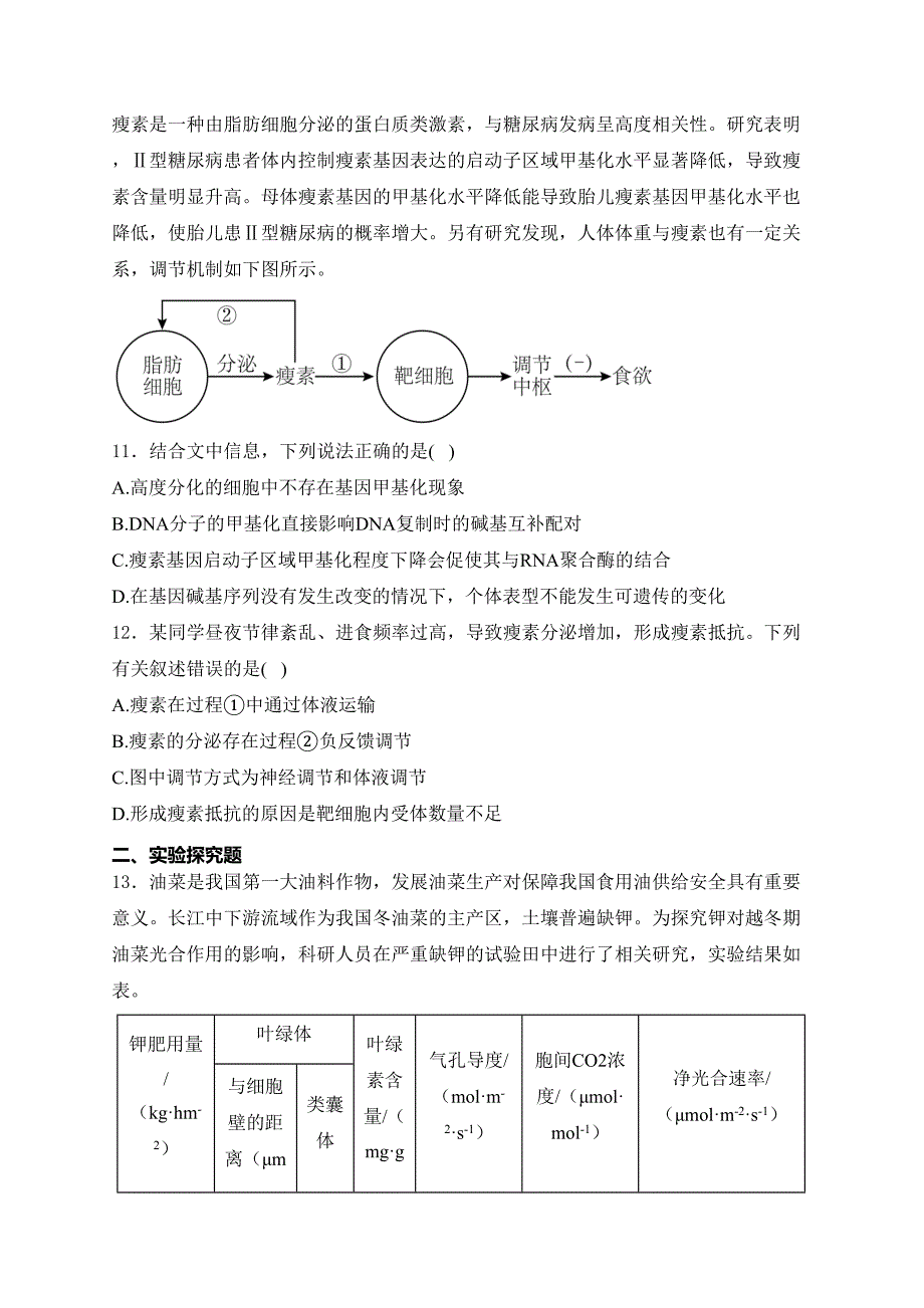 天津市武清区天和城实验中学2024届高三上学期第二次阶段练习生物试卷(含答案)_第4页