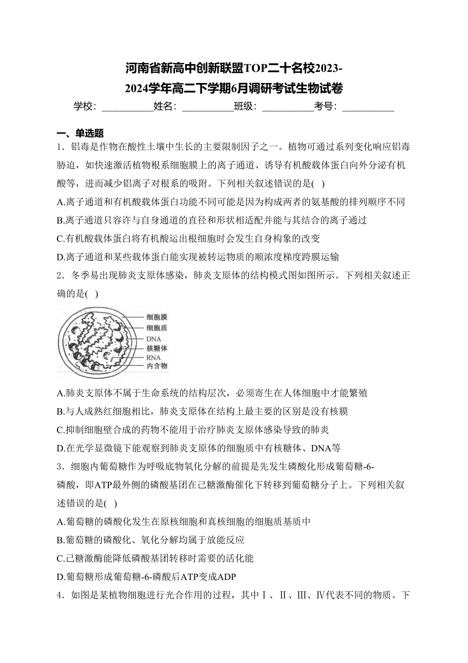 河南省新高中创新联盟TOP二十名校2023-2024学年高二下学期6月调研考试生物试卷(含答案)_第1页