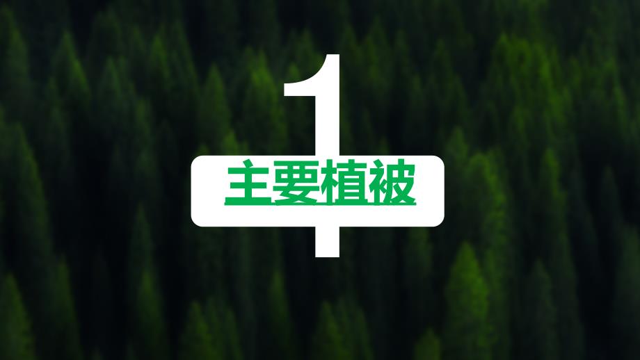 5.1主要植被与自然环境课件2023-2024学年湘教版高中地理（2019）必修一_第2页