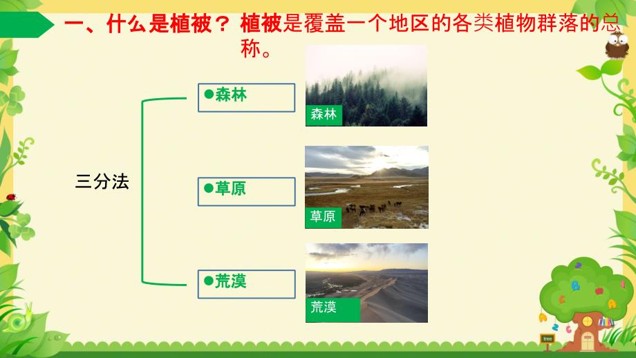 5.1主要植被与自然环境课件2023-2024学年湘教版高中地理（2019）必修一_第4页