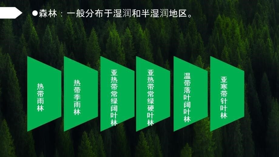 5.1主要植被与自然环境课件2023-2024学年湘教版高中地理（2019）必修一_第5页