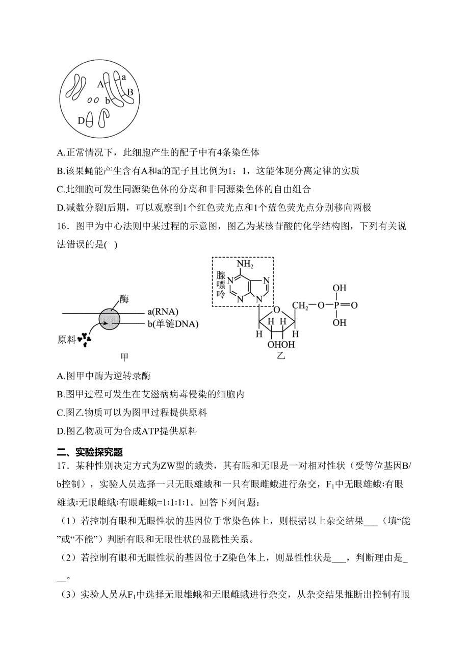 贵州省遵义市2023-2024学年高一下学期6月月考生物试卷(含答案)_第5页