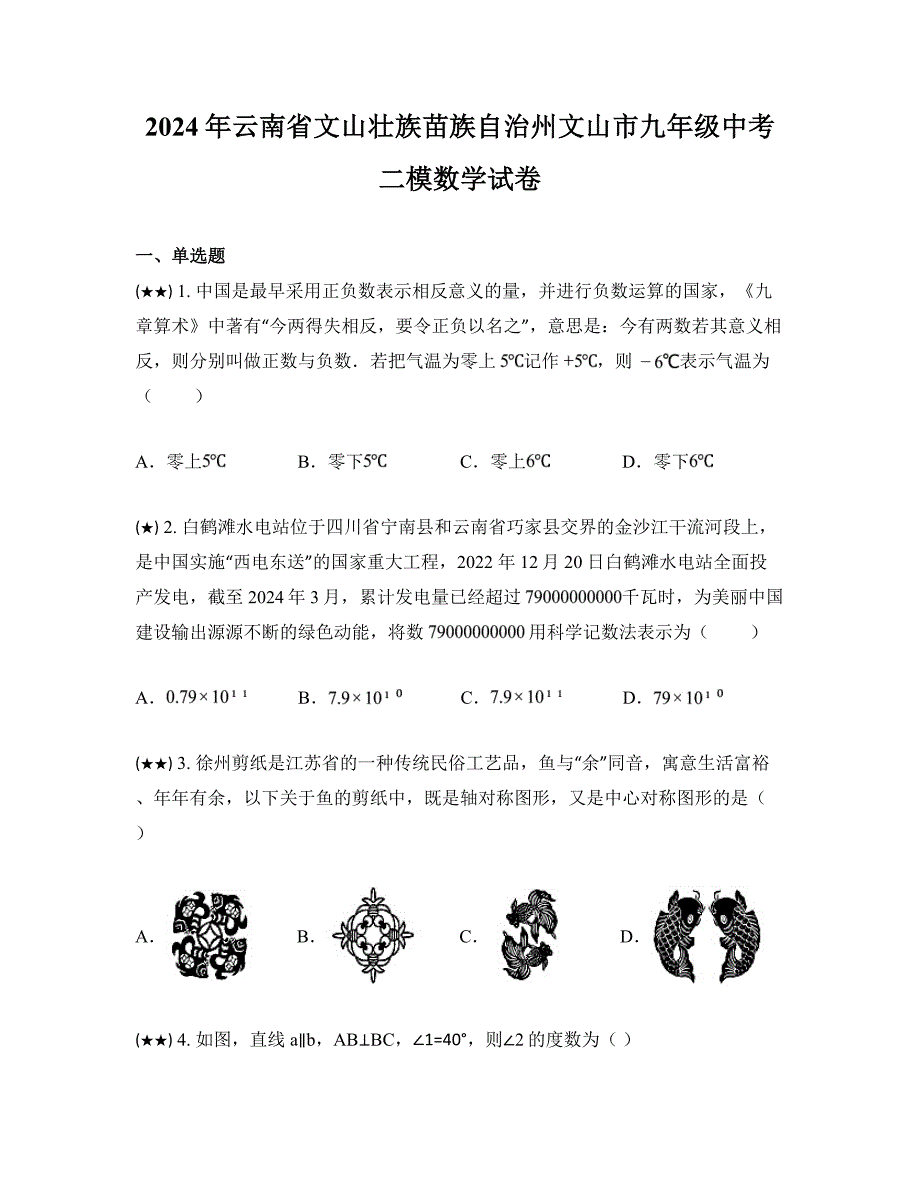 2024年云南省文山壮族苗族自治州文山市九年级中考二模数学试卷_第1页