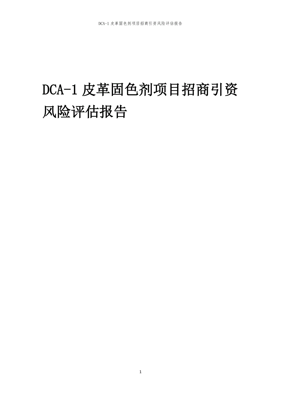 2023年DCA-1皮革固色剂项目招商引资风险评估报告_第1页