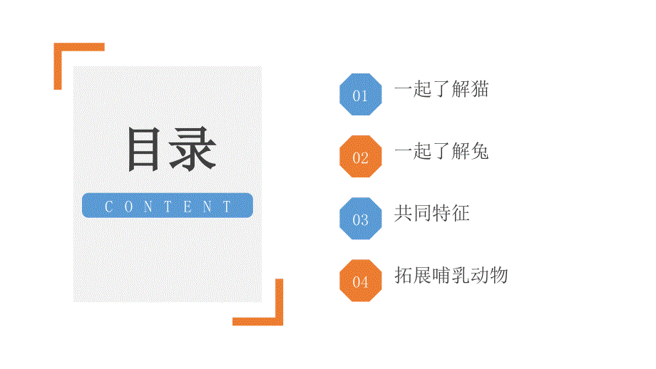 5.《猫和兔》（课件）一年级上册科学人教版_第3页