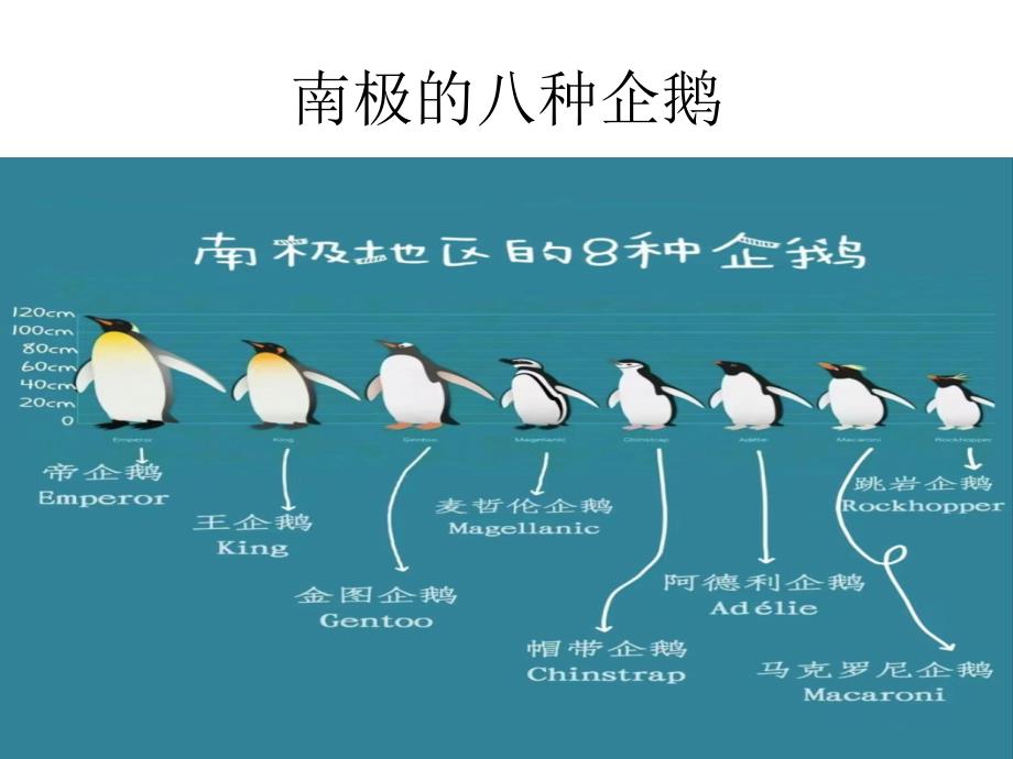 第十章极地地区课件-2023-2024学年初中地理人教版七年级下册_第2页