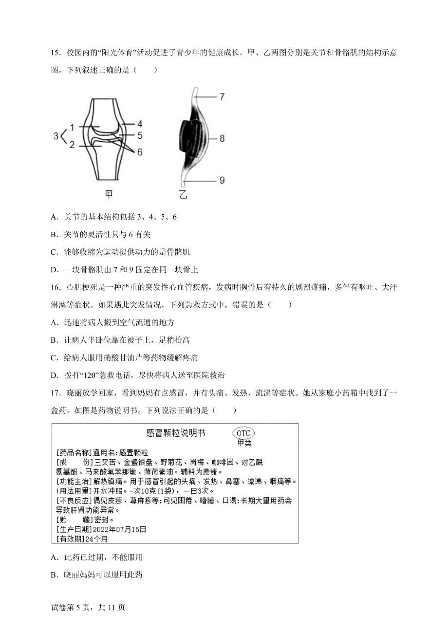 2024年山东省滨州市中考生物真题【含答案、详细解析】_第5页