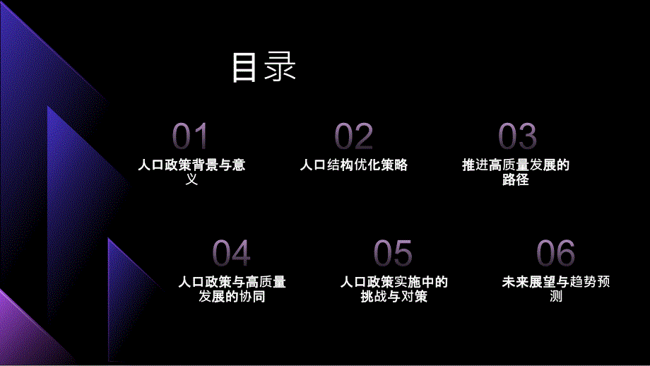 人口政策：促进人口结构优化推进高质量发展(参考模板)_第2页