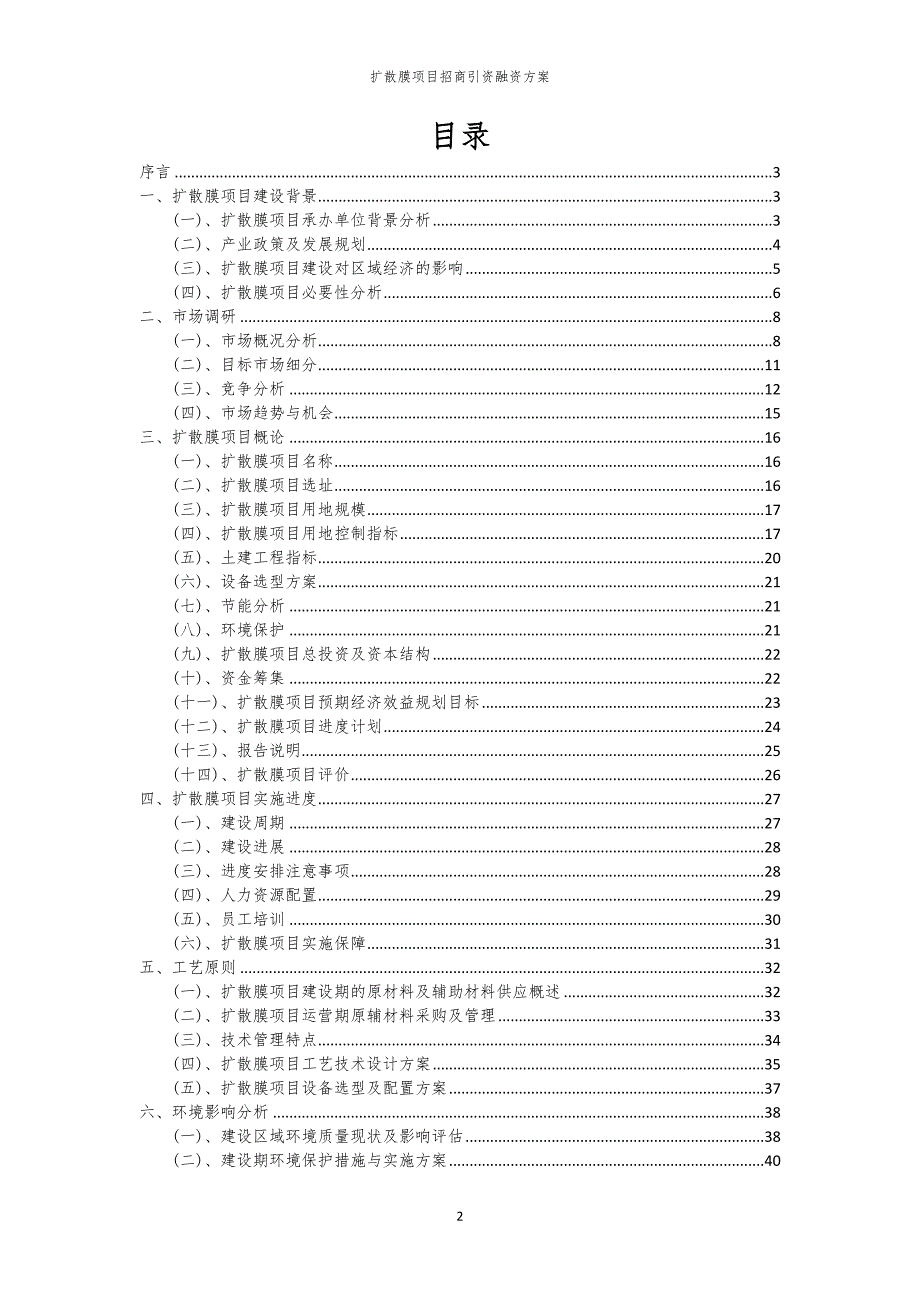 2023年扩散膜项目招商引资融资方案_第2页
