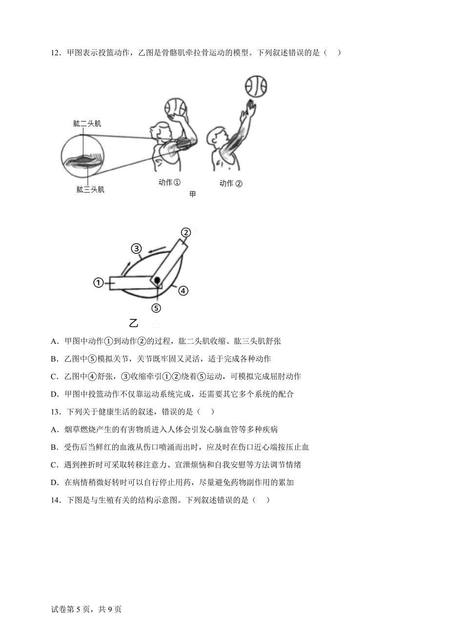 2024年山东省泰安市中考生物真题【含答案、详细解析】_第5页