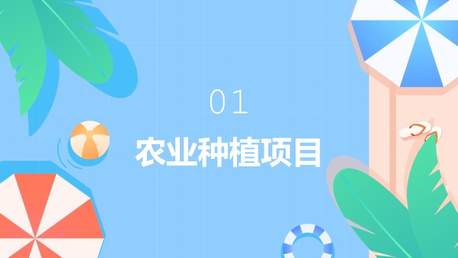 农业大学生创业好项目(参考模板)_第3页