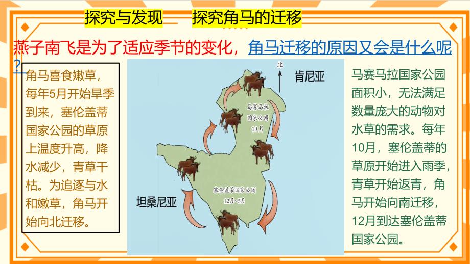 冀人版六年级上册科学第四单元《角马的迁移教学课件_第4页