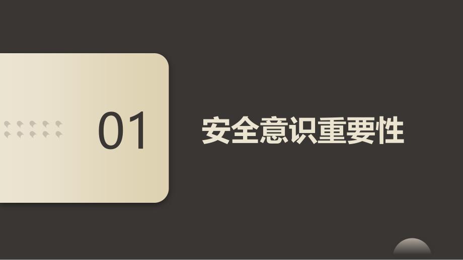 企业安全意识提升策略实施培训(参考模板)_第3页