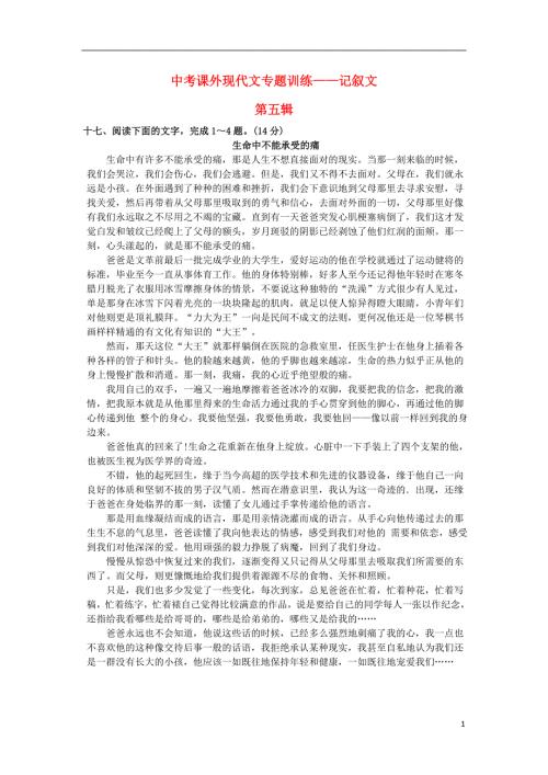 中考语文课外现代文专题训练记叙文第五辑新人教版