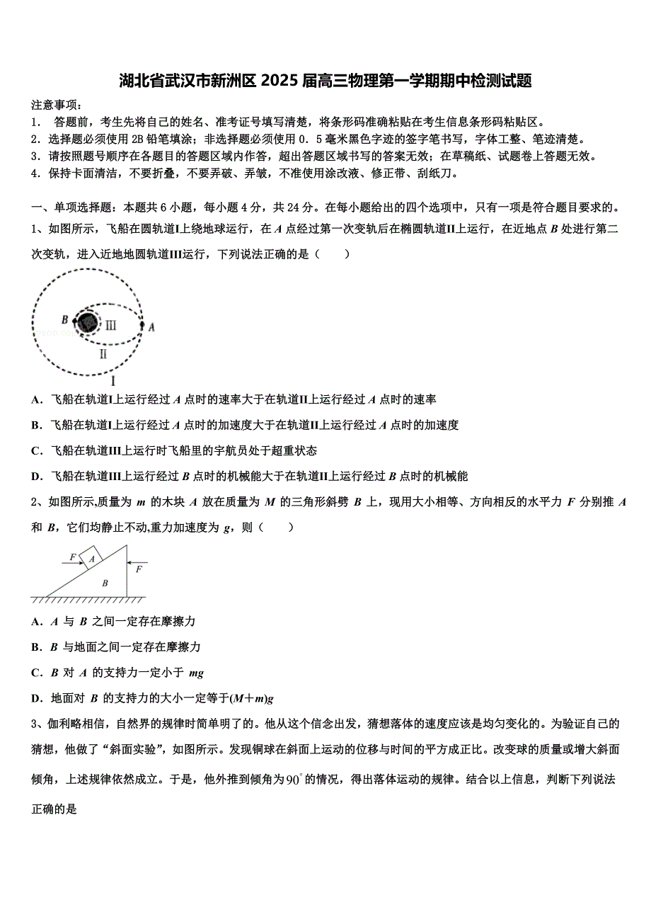 湖北省武汉市新洲区2025届高三物理第一学期期中检测试题含解析_第1页