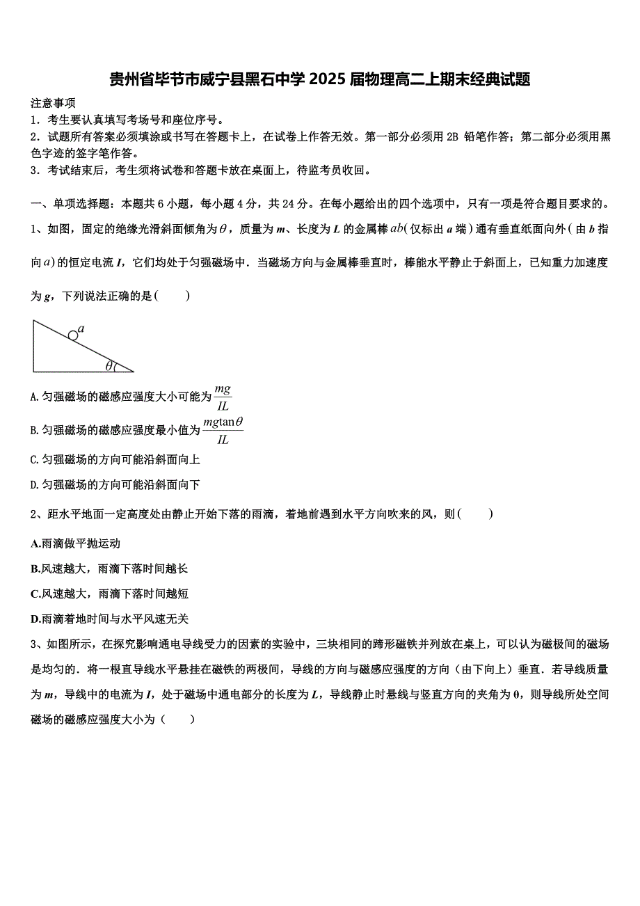 贵州省毕节市威宁县黑石中学2025届物理高二上期末经典试题含解析_第1页