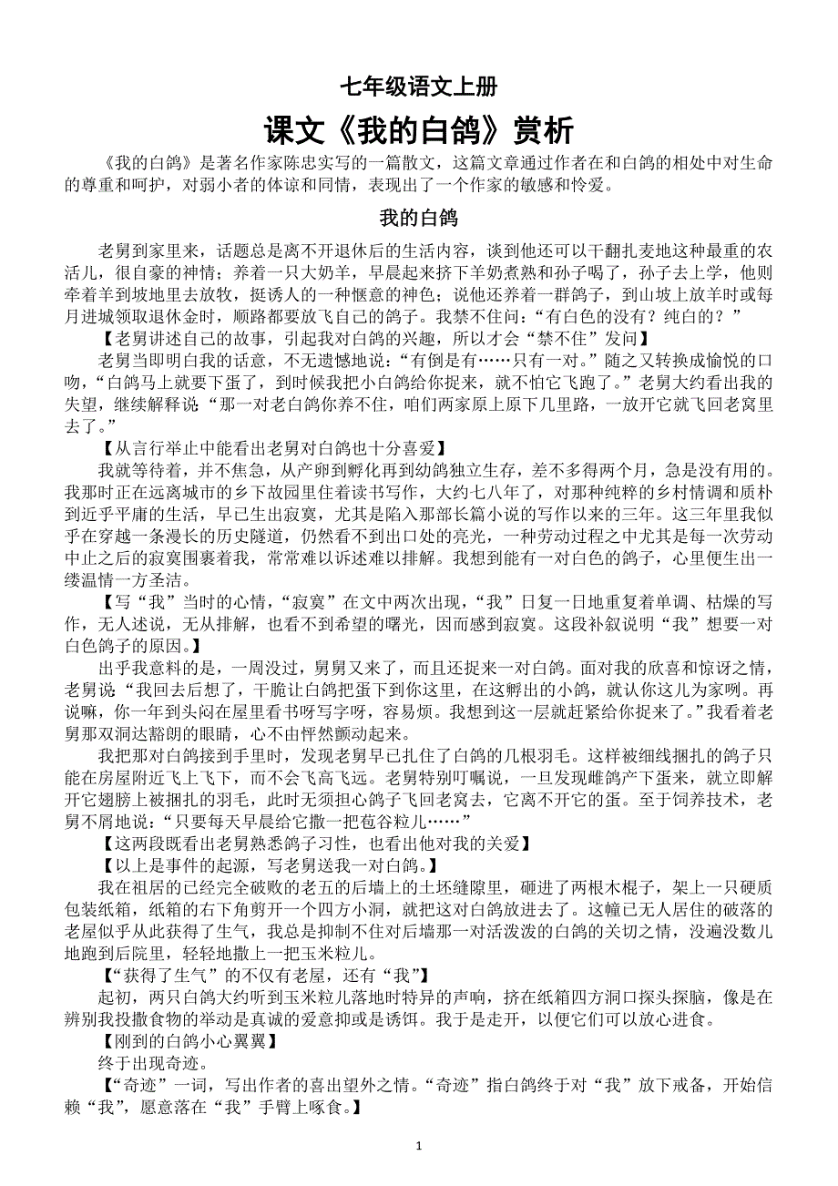 初中语文新部编版七年级上册新增课文《我的白鸽》赏析（2024秋）_第1页