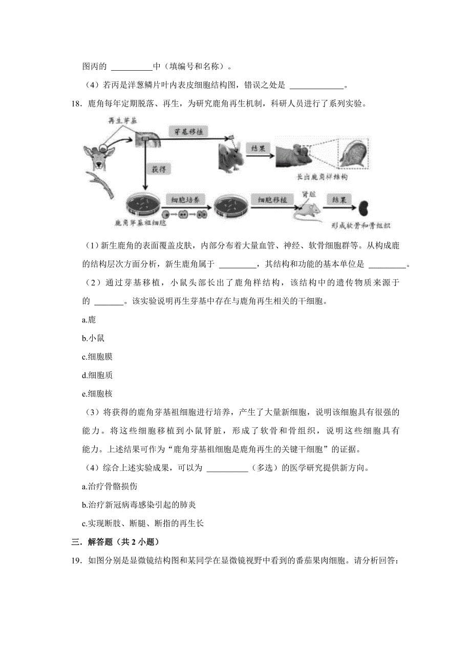 人教版中考生物复习新题之生物体的结构层次_第5页