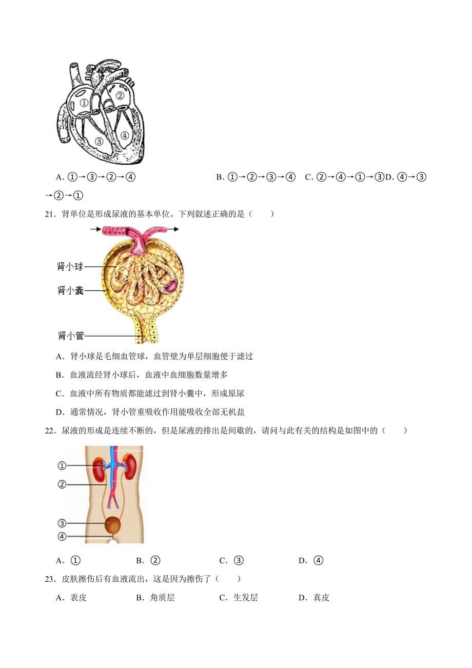 北京初中生物七年级下册期末典型卷3_第5页