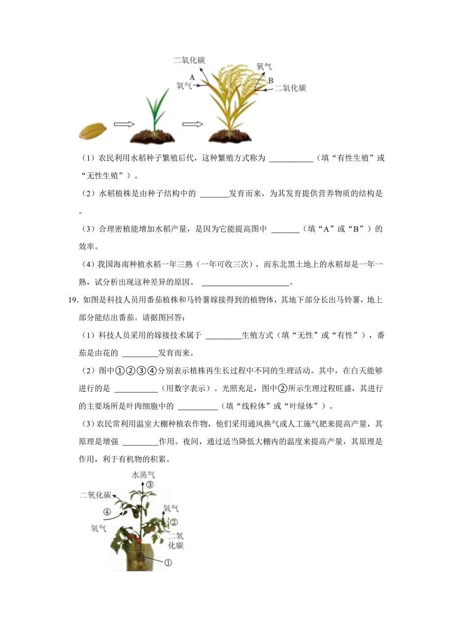 人教版生物会考二轮复习之植物的生殖和发育_第5页