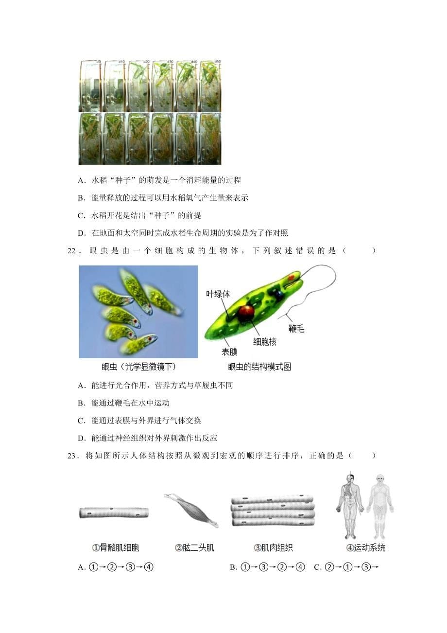 北京七年级下册生物开学模拟卷3_第5页