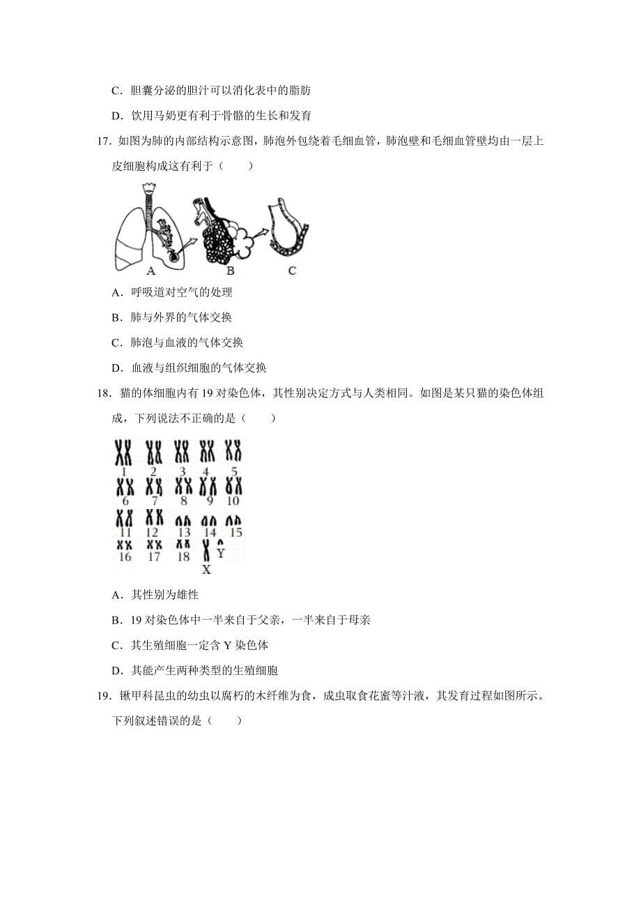 北京生物八年级下册期中典型卷3_第5页