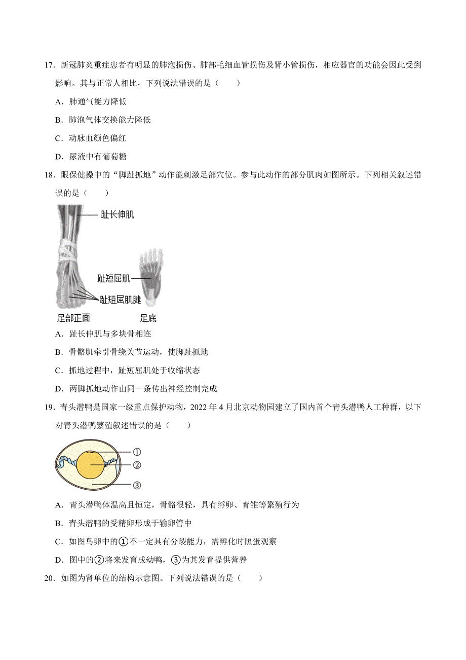 北京初中生物八年级下册期末典型卷1_第4页