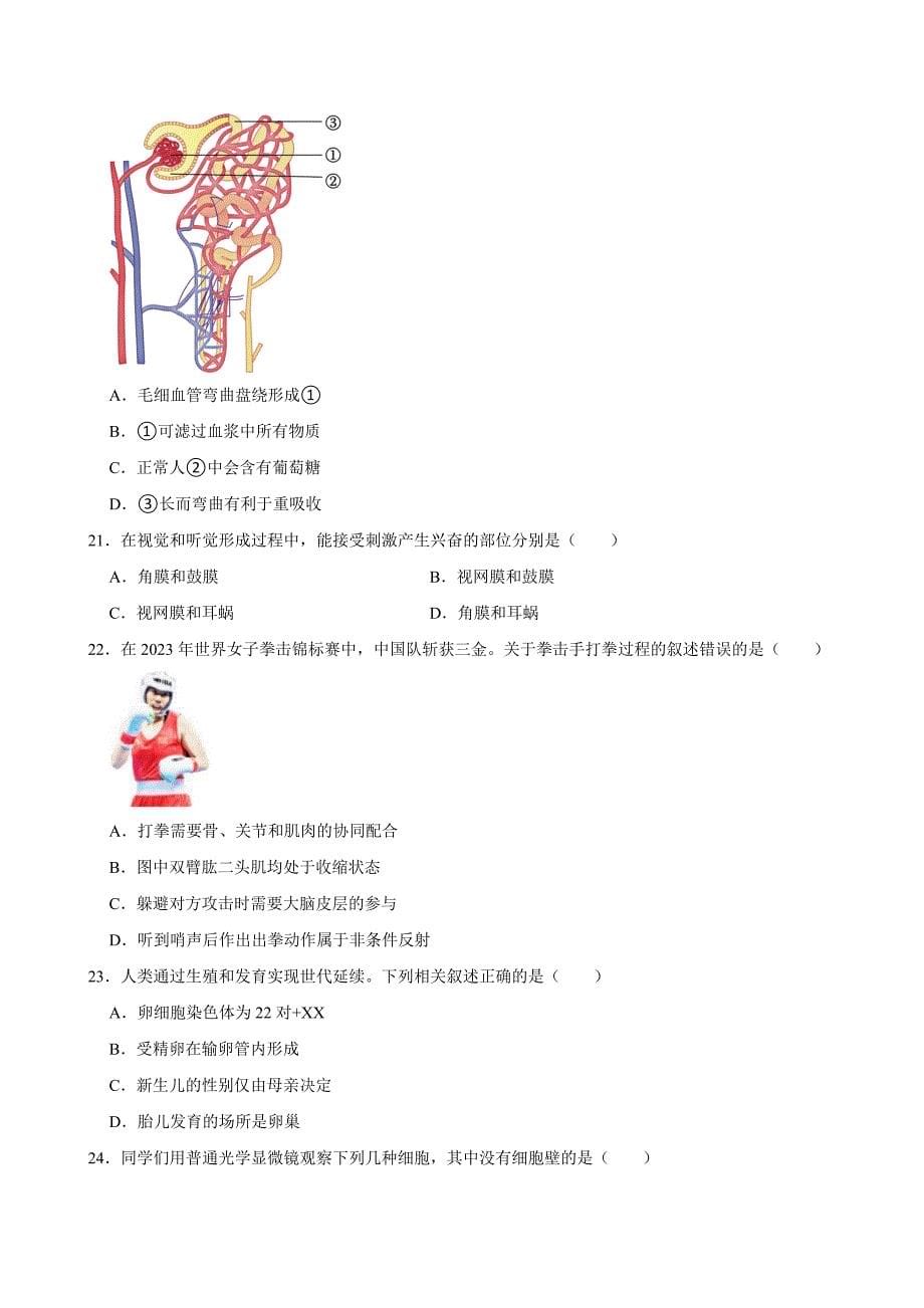 北京初中生物八年级下册期末典型卷1_第5页