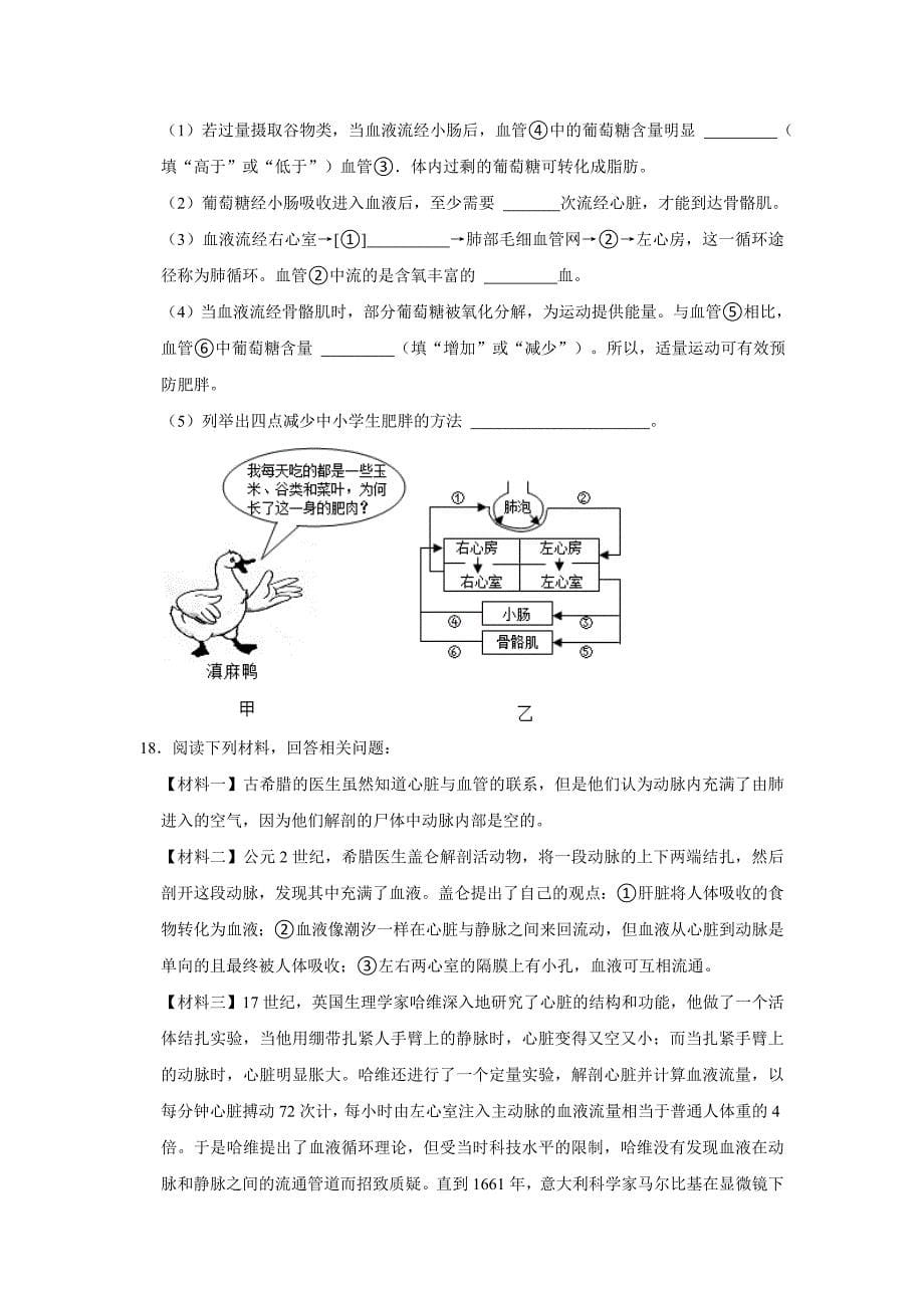 人教版生物会考二轮复习之血液循环_第5页