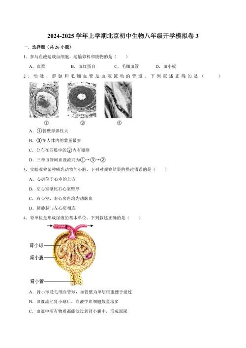 2024-2025学年初中生物八年级上学期开学模拟卷3