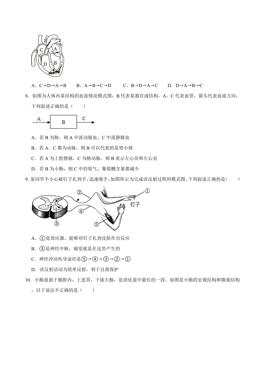 2024-2025学年初中生物八年级上学期开学模拟卷3_第3页