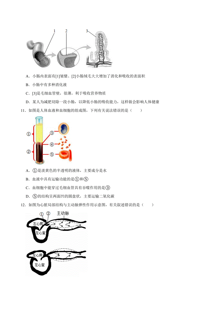 2024-2025学年初中生物八年级上学期开学模拟卷3_第4页