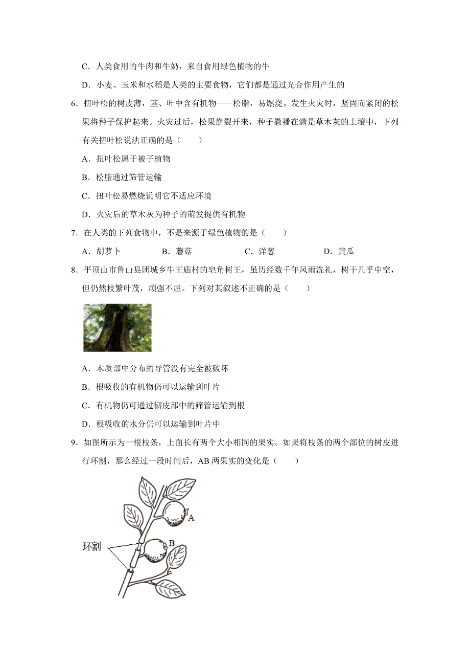 人教版生物会考三轮复习之植物的三大生理作用_第2页