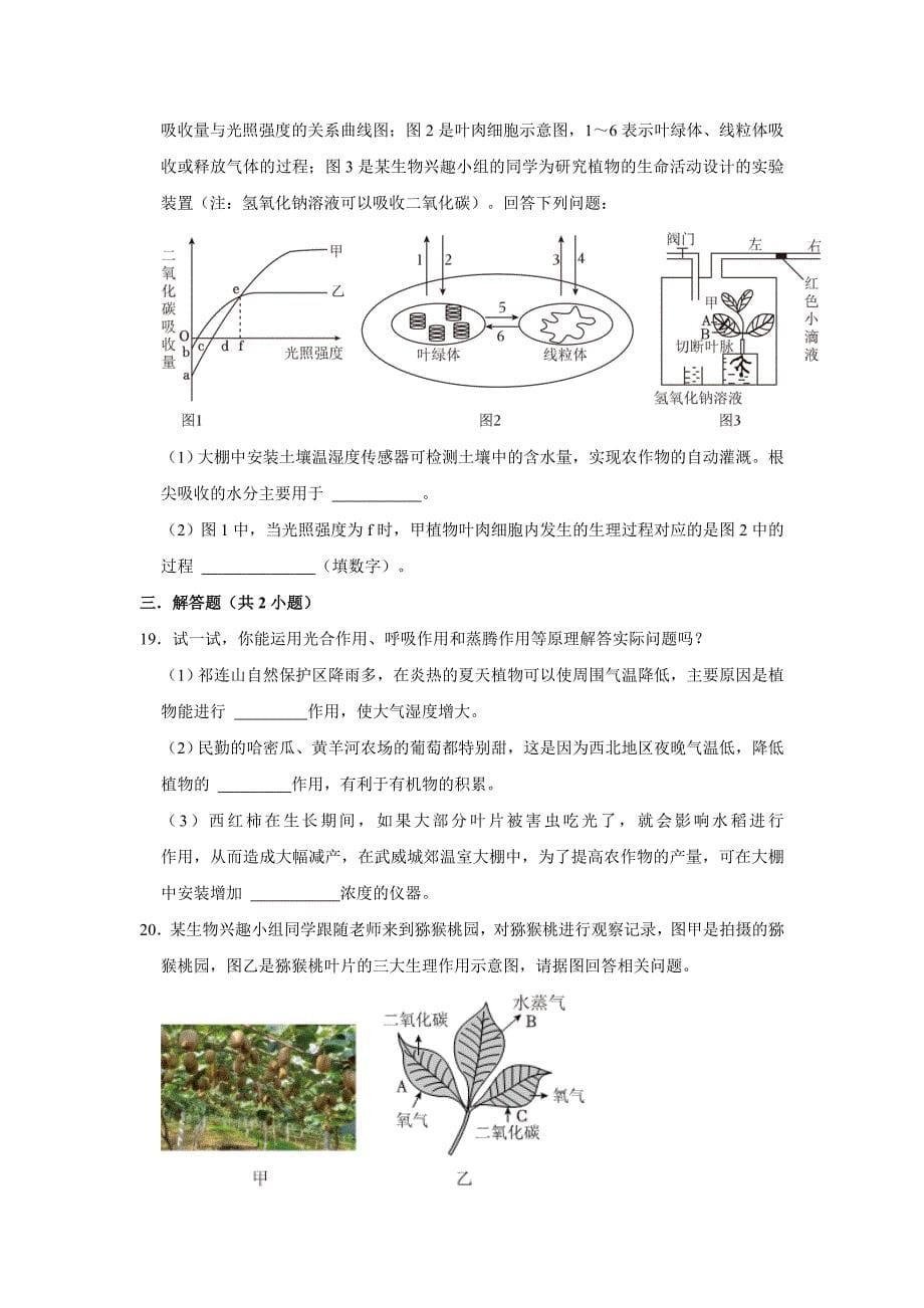 人教版生物会考三轮复习之植物的三大生理作用_第5页