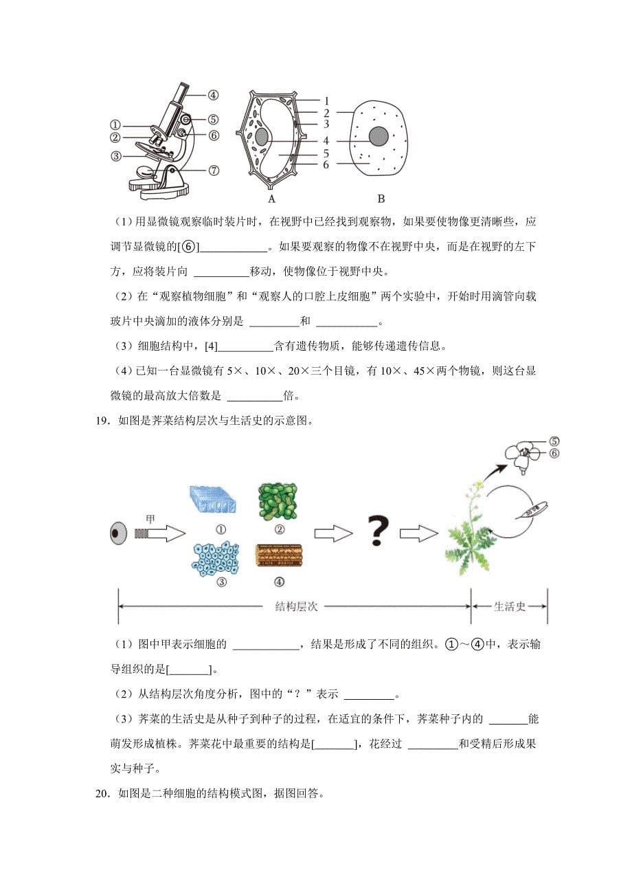 中考生物复习新题之生物体结构层次_第5页