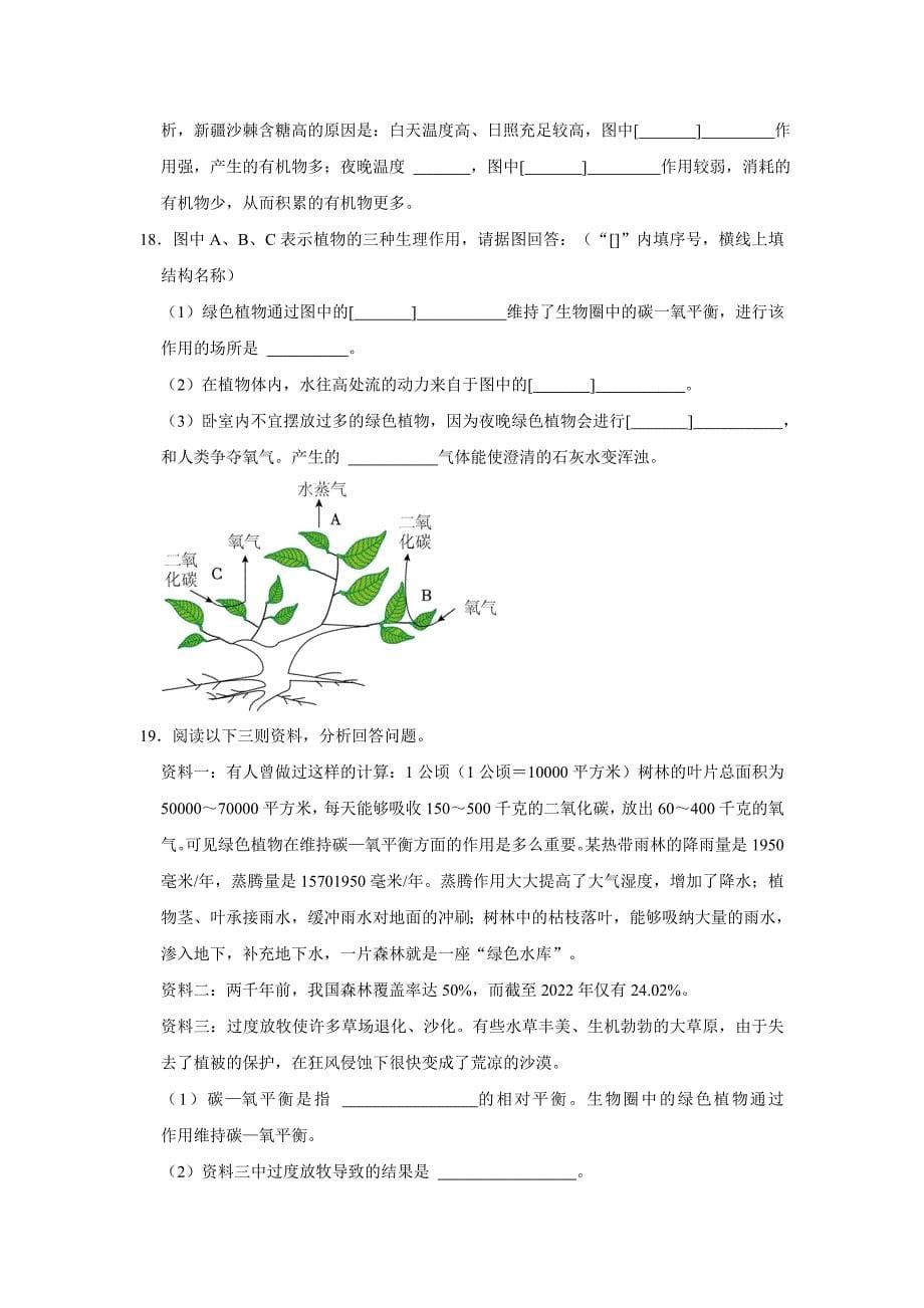 人教版中考生物复习新题之绿色植物对生物圈的作用_第5页