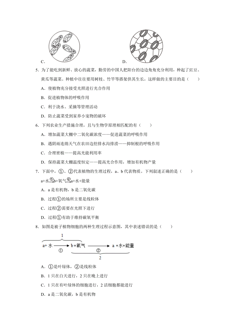 中考生物复习新题之绿色植物的光合作用和呼吸作用_第2页