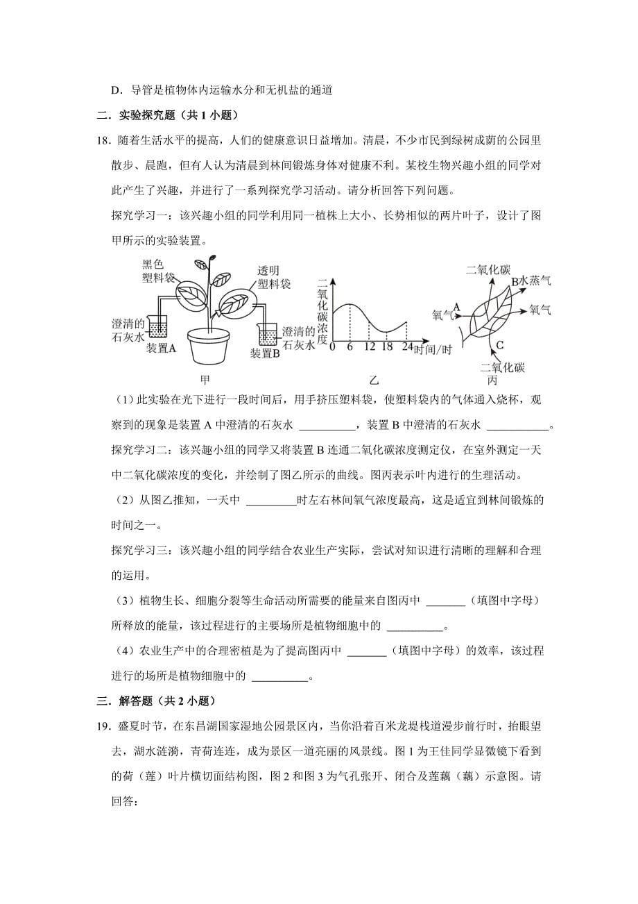 中考生物复习新题之绿色植物的光合作用和呼吸作用_第5页