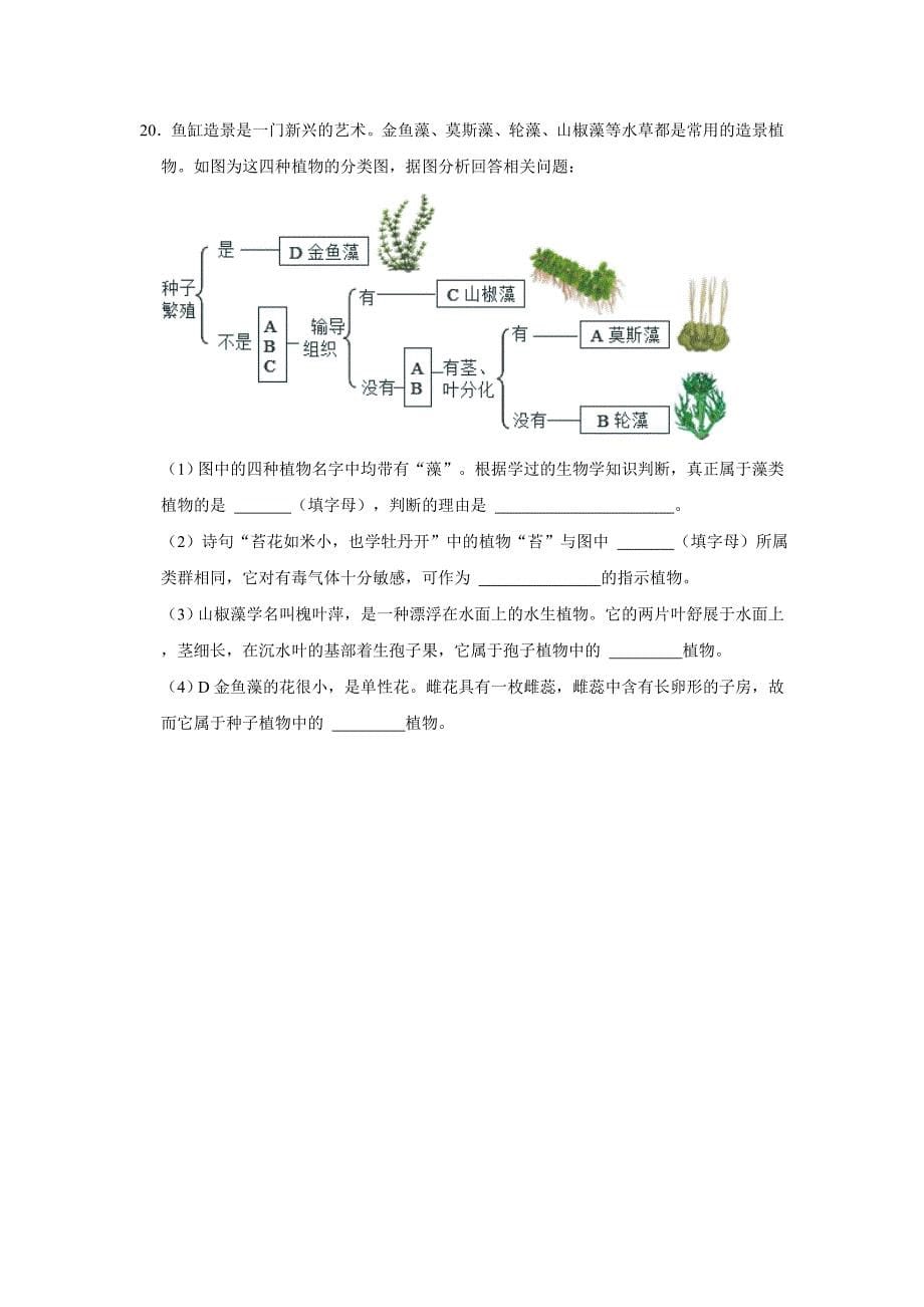 初中生物典型百题之常考题_第5页