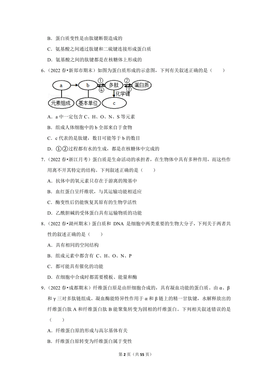 暑期新高一生物新课预习之《2.4蛋白质是生命活动的主要承担者》_第2页