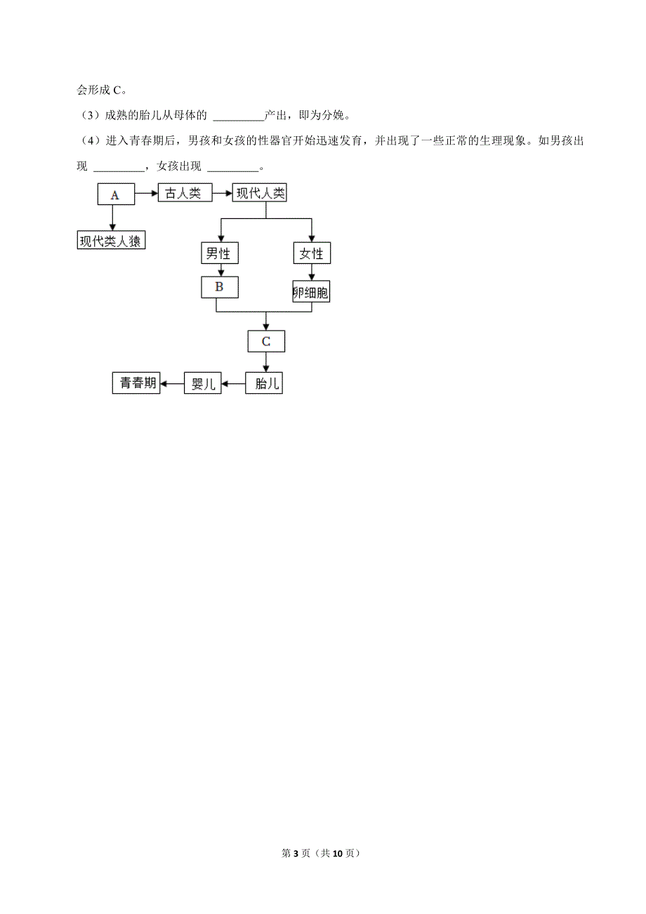 （培优篇）2022-2023学年下学期初中生物人教新版七年级同步分层作业4.1.3青春期_第3页