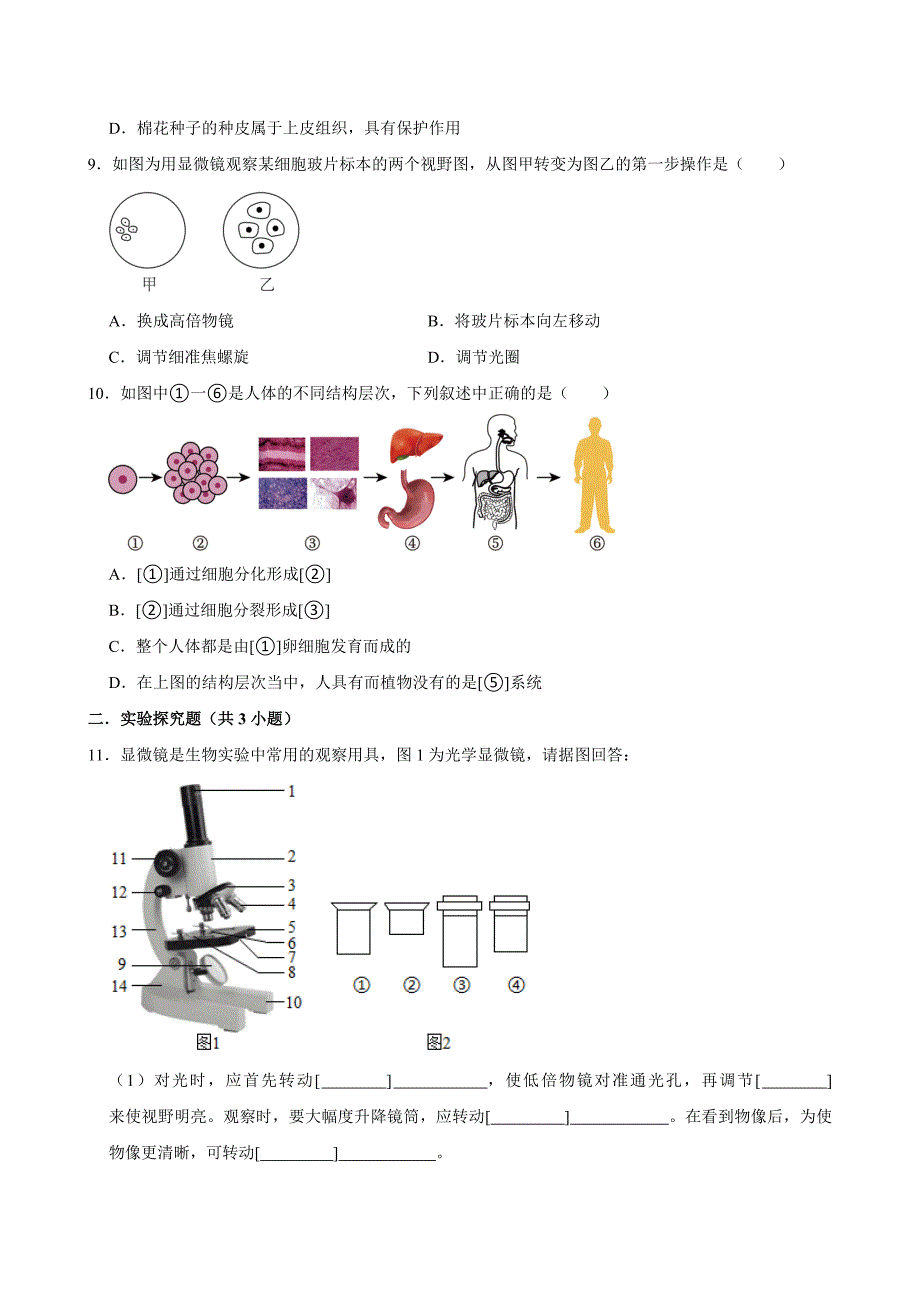 2024年新初二生物人教新版尖子生专题复习之生物体的结构层次_第3页