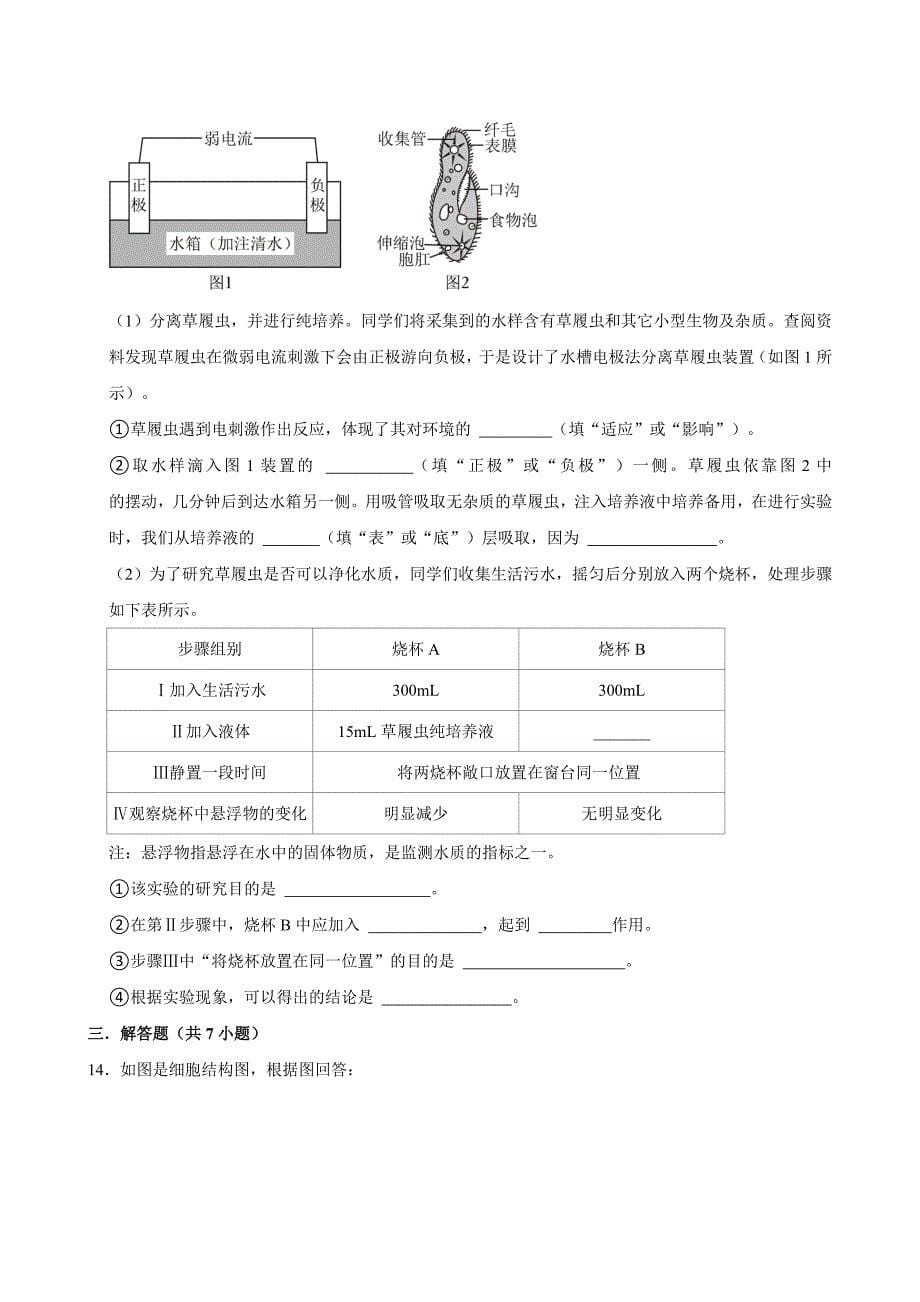 2024年新初二生物人教新版尖子生专题复习之生物体的结构层次_第5页